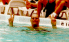 nixon.GIF (23809 bytes)